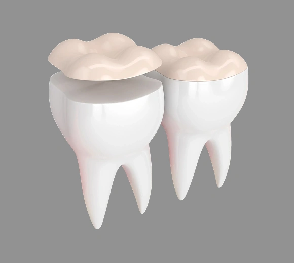 Two white teeth with pink gums illustrated against gray background, dental clinic graphic.